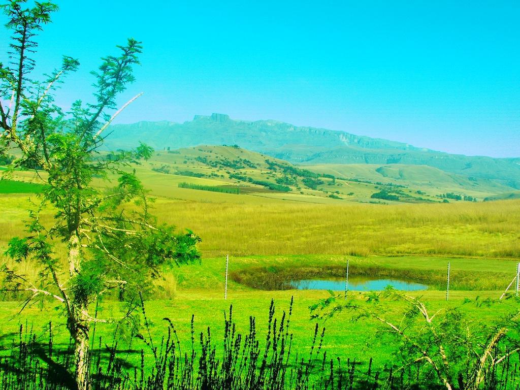 Champagne Valley River Crossing מראה חיצוני תמונה