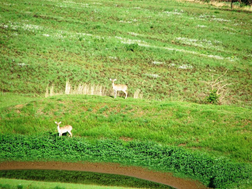 Champagne Valley River Crossing מראה חיצוני תמונה